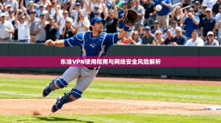 东油VPN使用指南与网络安全风险解析