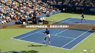 APN与VPN的区别，你真的分得清吗？