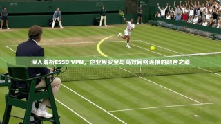 深入解析ESSD VPN，企业级安全与高效网络连接的融合之道