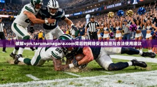 破解vpn.tarumanagara.com背后的网络安全隐患与合法使用建议
