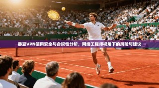 番豆VPN使用安全与合规性分析，网络工程师视角下的风险与建议