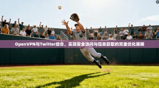 OpenVPN与Twitter结合，实现安全访问与信息获取的双重优化策略