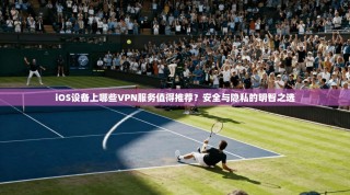iOS设备上哪些VPN服务值得推荐？安全与隐私的明智之选