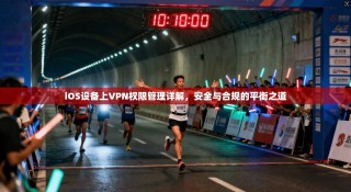 iOS设备上VPN权限管理详解，安全与合规的平衡之道
