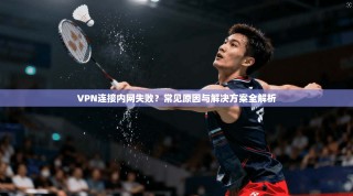 VPN连接内网失败？常见原因与解决方案全解析