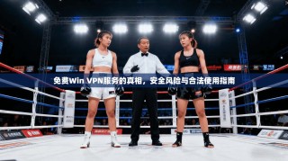 免费Win VPN服务的真相，安全风险与合法使用指南
