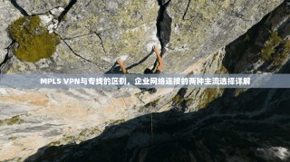 MPLS VPN与专线的区别，企业网络连接的两种主流选择详解