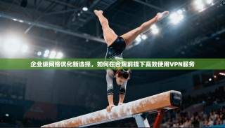 企业级网络优化新选择，如何在合规前提下高效使用VPN服务