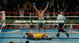 网吧啦金牌VPN，网络优化与用户隐私保护的双刃剑