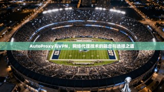 AutoProxy与VPN，网络代理技术的融合与选择之道