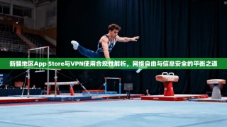 新疆地区App Store与VPN使用合规性解析，网络自由与信息安全的平衡之道