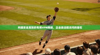 构建安全高效的专用VPN网络，企业级远程访问的基石
