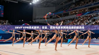 SNVP VPN技术解析，安全、高效与未来网络连接的新选择
