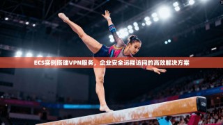 ECS实例搭建VPN服务，企业安全远程访问的高效解决方案