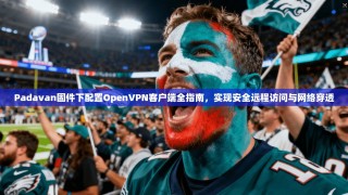 Padavan固件下配置OpenVPN客户端全指南，实现安全远程访问与网络穿透