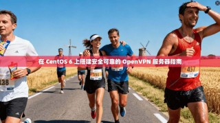 在 CentOS 6 上搭建安全可靠的 OpenVPN 服务器指南