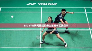 SSL VPN访问终端的安全策略与实践指南
