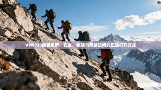 VPN333缴费指南，安全、合规与网络访问的正确打开方式