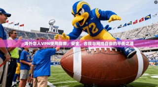 海外华人VPN使用指南，安全、合规与网络自由的平衡之道