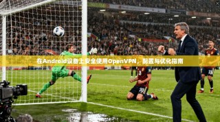 在Android设备上安全使用OpenVPN，配置与优化指南