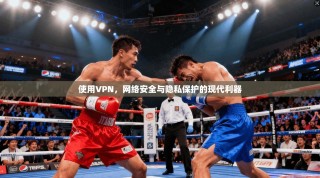 使用VPN，网络安全与隐私保护的现代利器