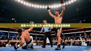 黑莓 Priv 设备上的 VPN 配置与安全实践指南