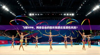 飞鲸VPN，网络自由的隐形翅膀还是潜在风险？