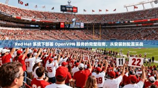 Red Hat 系统下部署 OpenVPN 服务的完整指南，从安装到配置实战