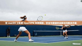 在 macOS 上配置 OpenVPN 共享网络，安全与便捷的远程访问解决方案