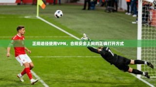 正规途径使用VPN，合规安全上网的正确打开方式