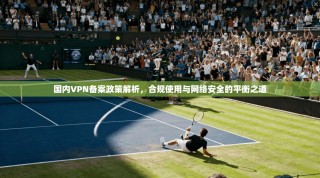 国内VPN备案政策解析，合规使用与网络安全的平衡之道