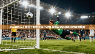 CentOS 6.6 系统下配置 OpenVPN 实现安全远程访问的完整指南