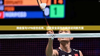 路由宝与VPN结合应用，打造安全高效的网络访问新方案