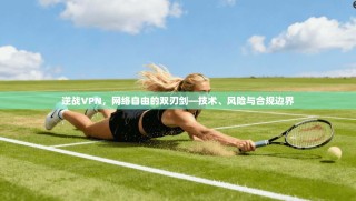 逆战VPN，网络自由的双刃剑—技术、风险与合规边界