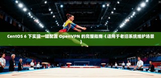 CentOS 6 下实现一键配置 OpenVPN 的完整指南（适用于老旧系统维护场景）