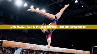VPN Master Free 与 Pro 版本深度对比，谁更适合你的网络需求？