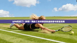 VPN死机了？别慌！网络工程师教你快速排查与恢复指南