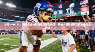 非凡VPN123，网络自由的利器还是潜在风险？从技术视角解析其安全性与合规性