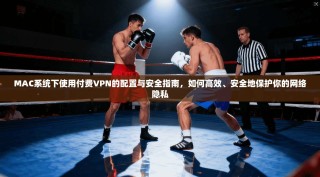 MAC系统下使用付费VPN的配置与安全指南，如何高效、安全地保护你的网络隐私
