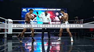 自建VPN被封禁？网络工程师深度解析政策边界与合规替代方案