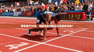 橙色兔子VPN，网络自由的象征还是潜在风险？