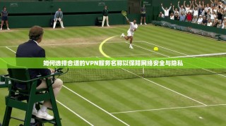 如何选择合适的VPN服务名称以保障网络安全与隐私