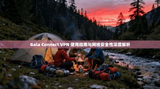 Gala Connect VPN 使用指南与网络安全性深度解析