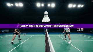 玩H1Z1如何正确使用VPN提升游戏体验与稳定性