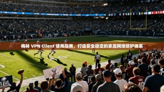梅林 VPN Client 使用指南，打造安全稳定的家庭网络防护体系