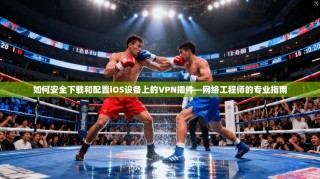 如何安全下载和配置iOS设备上的VPN插件—网络工程师的专业指南