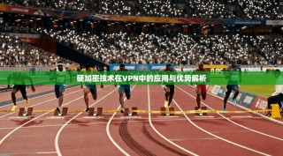 硬加密技术在VPN中的应用与优势解析