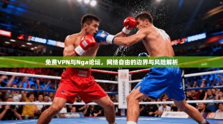 免费VPN与Nga论坛，网络自由的边界与风险解析