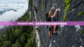 PacketiX VPN，企业级安全远程访问的可靠选择