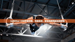 SoftEther VPN中继详解，构建高效、安全的跨网络连接桥梁